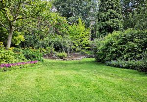 Optimiser l'expérience du jardin à Courcelles-lès-Montbéliard